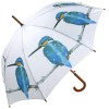 Emily Smith Umbrella - Skylar the Kingfisher