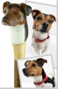 Custom Handmade Dog Headed Hiking Stick Service