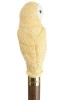 Barn Owl headed Collectors Cane