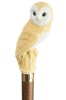 Barn Owl headed Collectors Cane