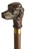 Red Setter Collectors Cane