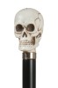 Imitation Ivory Skull Collectors Cane