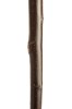 Chestnut Shepherd's Crook - Dark Brown