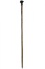 Black Labrador Retriever Hazel Hiking Stick