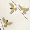 Fallen Fruits See-Through Umbrella - Birds in Flight