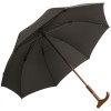 Adjustable Black Walking Stick Umbrella