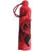 Fulton Open & Close 4 - Auto Folding Umbrella - Photo Rose Red