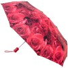 Fulton Open & Close 4 - Auto Folding Umbrella - Photo Rose Red