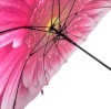 Stormking Classic Walking Length Umbrella - Floral Collection - Gerbera Daisy