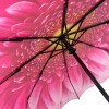 Stormking Auto Open & Close Folding Umbrella - Floral Collection - Gerbera Daisy