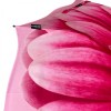Stormking Auto Open & Close Folding Umbrella - Floral Collection - Gerbera Daisy