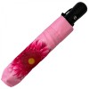 Stormking Auto Open & Close Folding Umbrella - Floral Collection - Gerbera Daisy