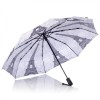 Stormking Automatic Open & Close Folding Umbrella - City Collection - Paris Mono