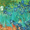 Double Canopy Walking Length Umbrella - Irises by Van Gogh