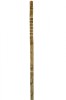 Hazel Scout Stave with Traditional Foot and Inch Depth Markings