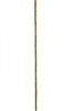 Hazel Scout Stave with Traditional Foot and Inch Depth Markings