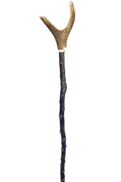 Thumb Walking Sticks & Wooden Sticks | Stick & Cane Shop