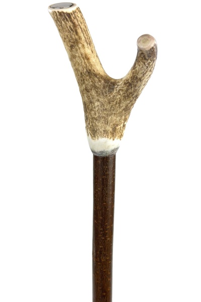Thumb Walking Sticks & Wooden Sticks | Stick & Cane Shop