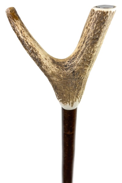 Thumb Walking Sticks & Wooden Sticks | Stick & Cane Shop