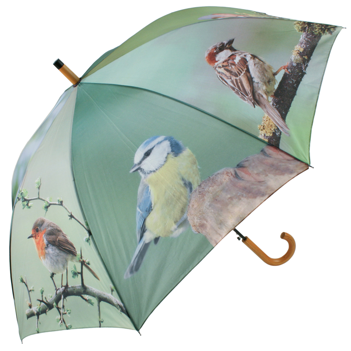 Large Garden Birds Umbrella