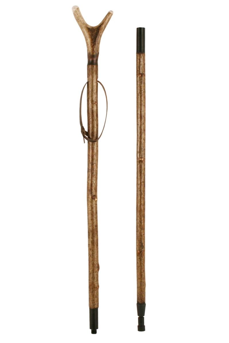 2 best sale walking sticks
