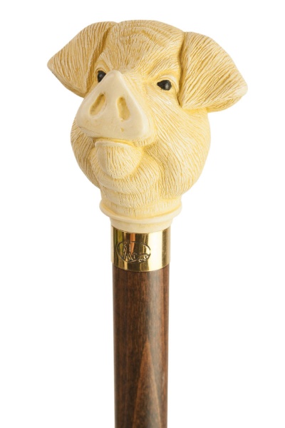 Pig's Head Collectors Cane