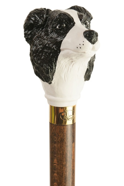 Border Collie Dog Collectors Cane