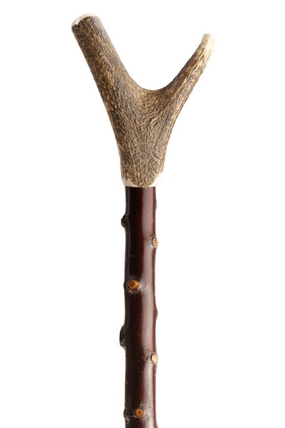Staghorn Thumbstick on Blackthorn Shaft