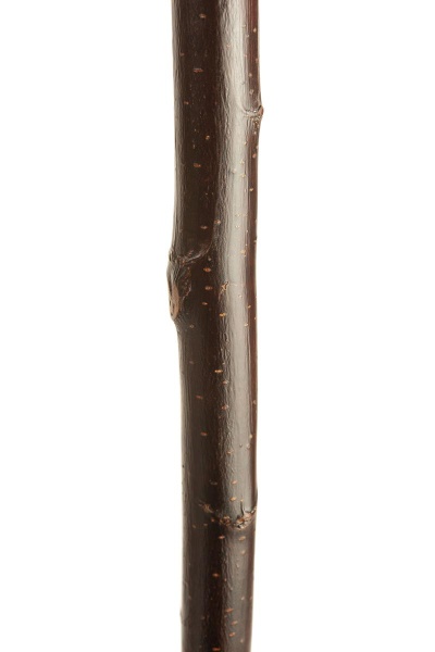 Shepherds Crooks | Long Walking Sticks | Stick & Cane Shop