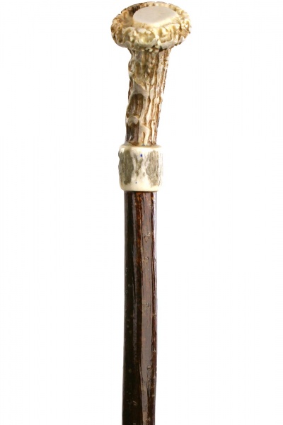 Handmade Petite Roe Deer Antler Hiking Stick with Hazel Shaft