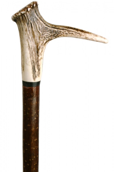 Staghorn Crown Hiker with Buffalo Collar on Hazel Shaft