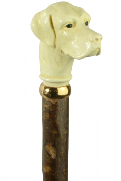 Imitation Ivory Golden Retriever Hazel Hiking Stick
