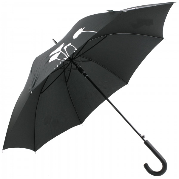 Colour Changing Poppy Automatic Umbrella Stick Cane Shop