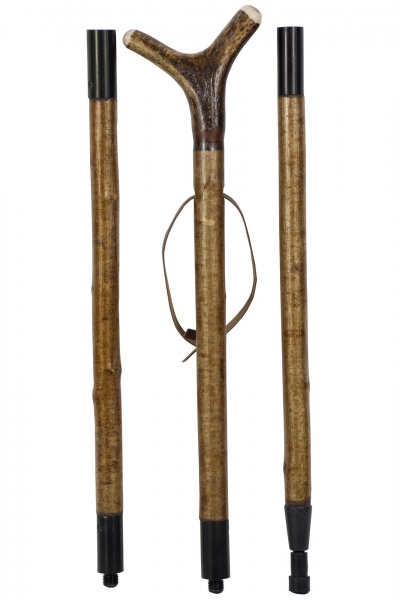 Staghorn Hazel Thumbstick, Three Piece, Jointed, Extra Long